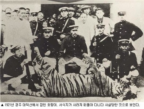16739ac53af10d28d.jpg