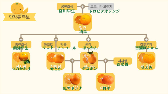 2016112401536_8のコピー.jpg