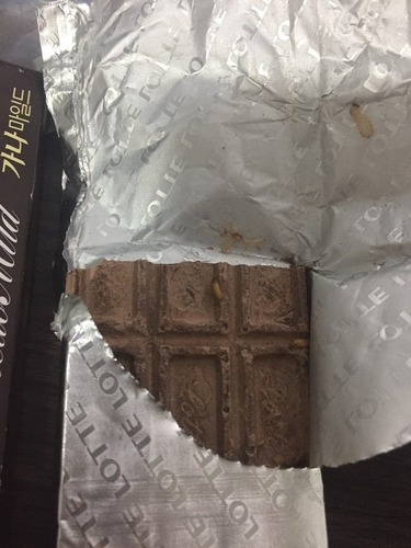 ロッテガーナチョコレート2.jpg