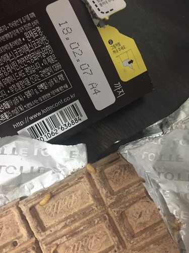 ロッテガーナチョコレート8.jpg
