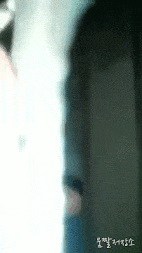 中国ねずみレストラン.gif