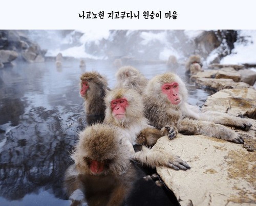地獄谷1.jpg