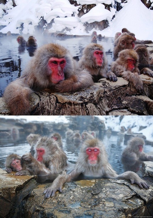 地獄谷2.jpg