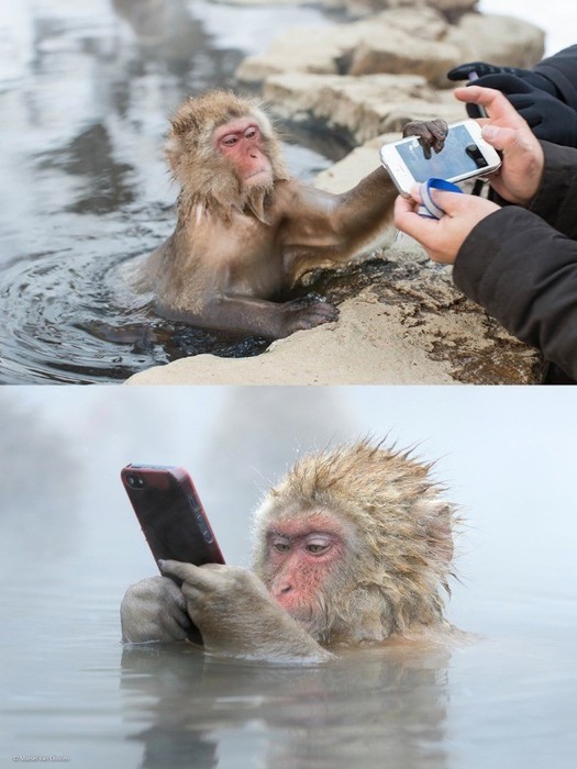 地獄谷3.jpg
