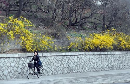 平壌4_20180405175025867nbhy.jpg