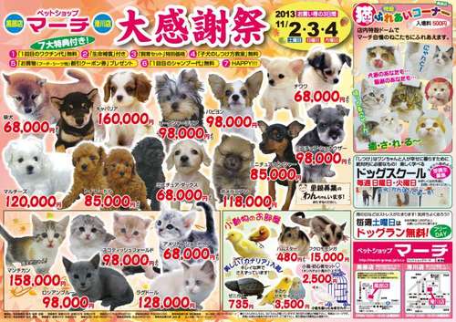 日本のペットショップ3.jpg