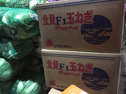 日本の玉ねぎ1.jpg