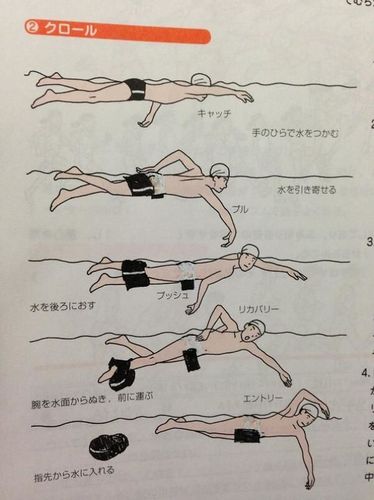 教科書らくがき水泳.jpg
