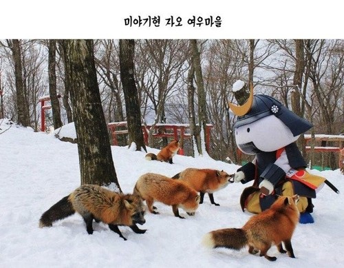 蔵王1.jpg