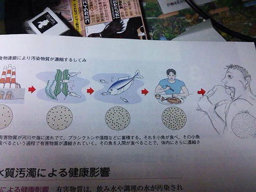 教科書らくがき進撃の巨人2.jpg