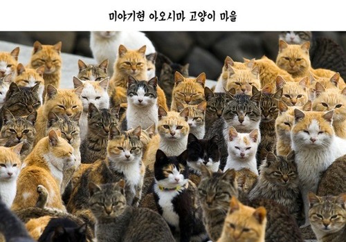 青島1.jpg