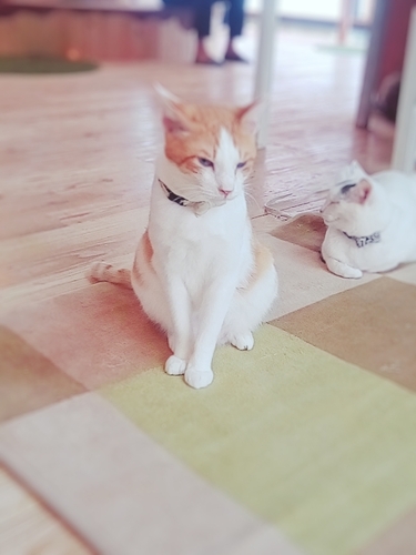 20180822_113710_686.jpg