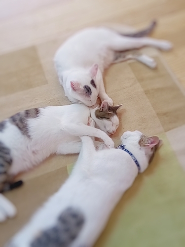 20180822_120242_798.jpg