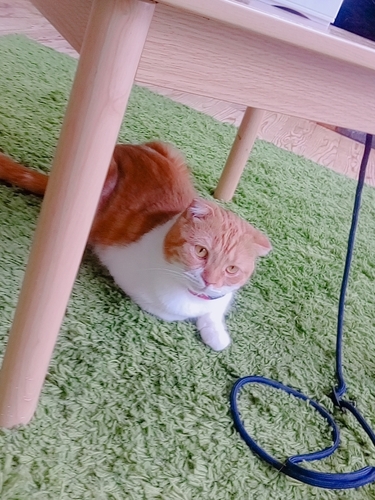 20180822_121001_207.jpg