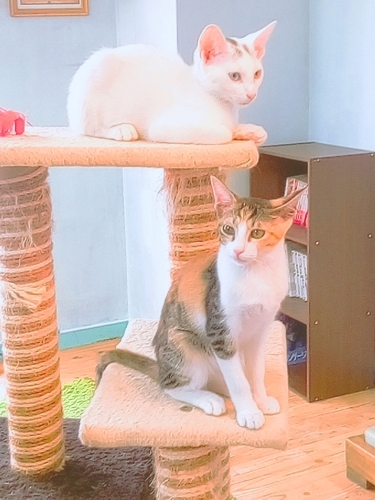 20180822_121245_904.jpg